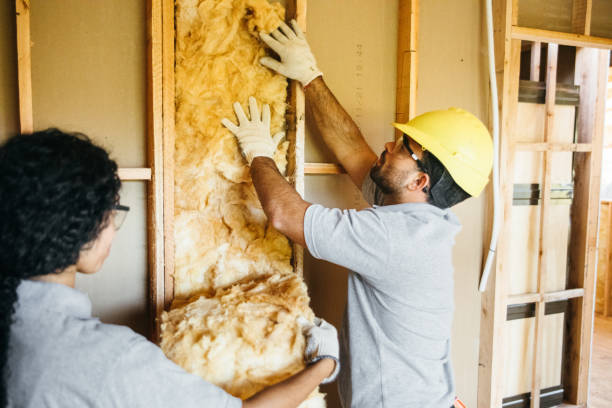 Best Insulation Contractor Near Me  in Sunrise Beach Village, TX